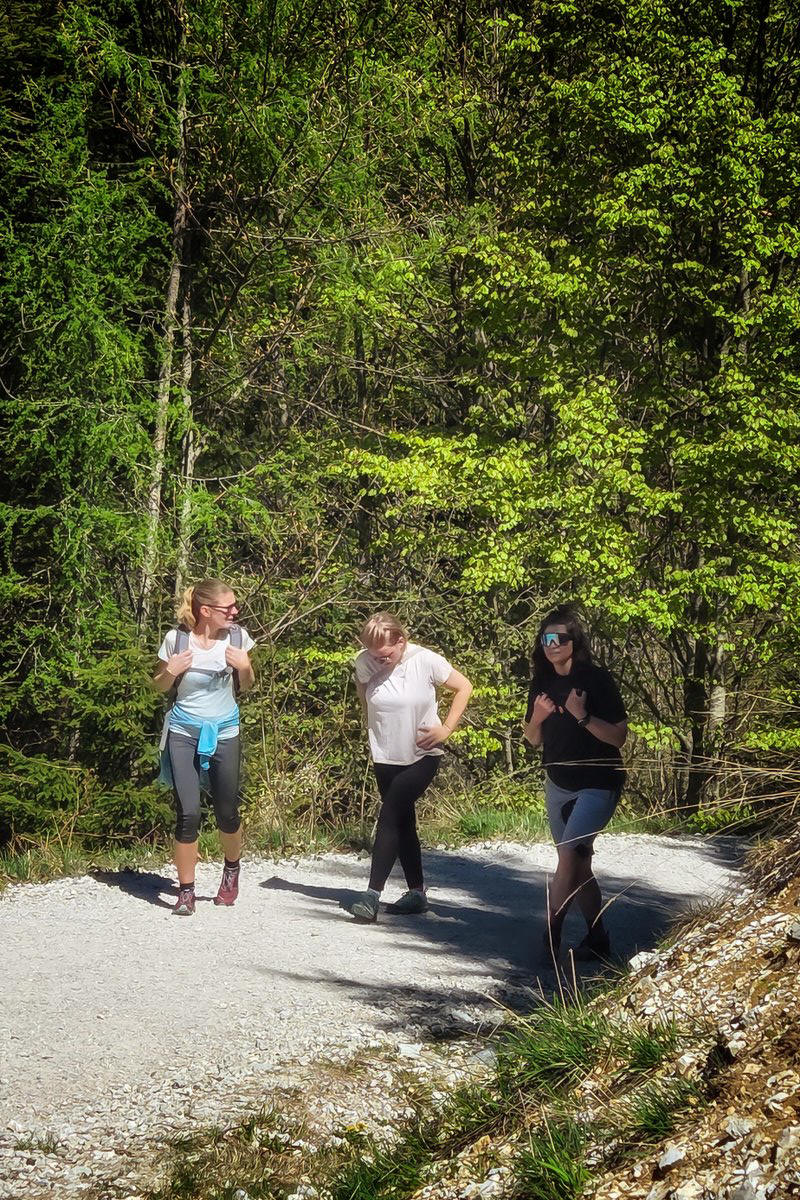 Wanderung Rohrkopfhütte in Schwangau mit Sandra Bischof und Mathias Starzer - Blick Richtung Neuschwanstein